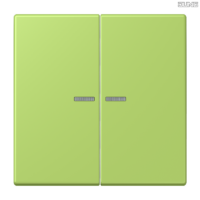 Jung BRG 12-5 PK 42 Abdeckung mit Kipphebel "Kegel" 1-fach 2 Kipphebel