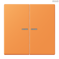 Jung BRG 12-5 PK 42 Abdeckung mit Kipphebel "Kegel" 1-fach 2 Kipphebel