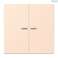 Jung BRG 12-5 PK 42 Abdeckung mit Kipphebel "Kegel" 1-fach 2 Kipphebel