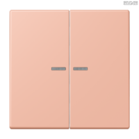 Jung BRG 12-5 PK 42 Abdeckung mit Kipphebel "Kegel" 1-fach 2 Kipphebel