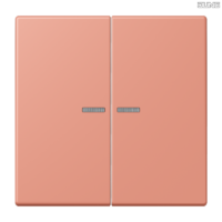 Jung BRG 12-5 PK 42 Abdeckung mit Kipphebel "Kegel" 1-fach 2 Kipphebel