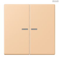 Jung BRG 12-5 PK 42 Abdeckung mit Kipphebel "Kegel" 1-fach 2 Kipphebel