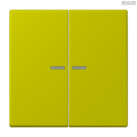 Jung BRG 12-5 PK 42 Abdeckung mit Kipphebel "Kegel" 1-fach 2 Kipphebel