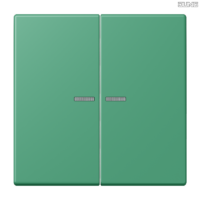 Jung BRG 12-5 PK 42 Abdeckung mit Kipphebel "Kegel" 1-fach 2 Kipphebel