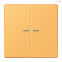 Jung BRG 12-5 PK 42 Abdeckung mit Kipphebel "Kegel" 1-fach 2 Kipphebel