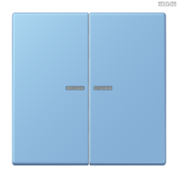 Jung BRG 12-5 PK 42 Abdeckung mit Kipphebel "Kegel" 1-fach 2 Kipphebel