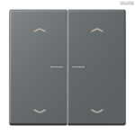 Jung BRG 12-5 PK 42 Abdeckung mit Kipphebel "Kegel" 1-fach 2 Kipphebel