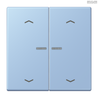 Jung BRG 12-5 PK 42 Abdeckung mit Kipphebel "Kegel" 1-fach 2 Kipphebel