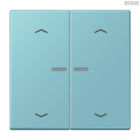 Jung BRG 12-5 PK 42 Abdeckung mit Kipphebel "Kegel" 1-fach 2 Kipphebel