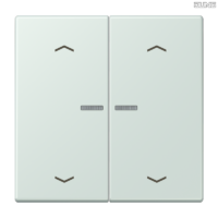 Jung BRG 12-5 PK 42 Abdeckung mit Kipphebel "Kegel" 1-fach 2 Kipphebel