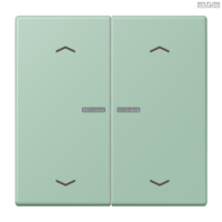 Jung BRG 12-5 PK 42 Abdeckung mit Kipphebel "Kegel" 1-fach 2 Kipphebel