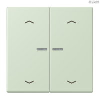 Jung BRG 12-5 PK 42 Abdeckung mit Kipphebel "Kegel" 1-fach 2 Kipphebel