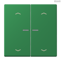 Jung BRG 12-5 PK 42 Abdeckung mit Kipphebel "Kegel" 1-fach 2 Kipphebel