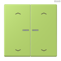 Jung BRG 12-5 PK 42 Abdeckung mit Kipphebel "Kegel" 1-fach 2 Kipphebel