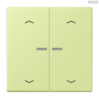 Jung BRG 12-5 PK 42 Abdeckung mit Kipphebel "Kegel" 1-fach 2 Kipphebel