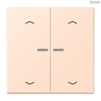 Jung BRG 12-5 PK 42 Abdeckung mit Kipphebel "Kegel" 1-fach 2 Kipphebel