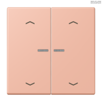 Jung BRG 12-5 PK 42 Abdeckung mit Kipphebel "Kegel" 1-fach 2 Kipphebel