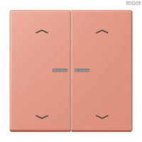 Jung BRG 12-5 PK 42 Abdeckung mit Kipphebel "Kegel" 1-fach 2 Kipphebel