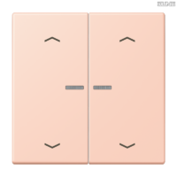 Jung BRG 12-5 PK 42 Abdeckung mit Kipphebel "Kegel" 1-fach 2 Kipphebel