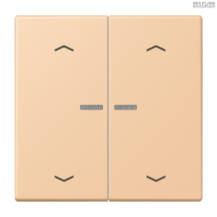 Jung BRG 12-5 PK 42 Abdeckung mit Kipphebel "Kegel" 1-fach 2 Kipphebel