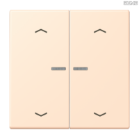 Jung BRG 12-5 PK 42 Abdeckung mit Kipphebel "Kegel" 1-fach 2 Kipphebel
