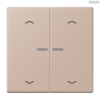 Jung BRG 12-5 PK 42 Abdeckung mit Kipphebel "Kegel" 1-fach 2 Kipphebel