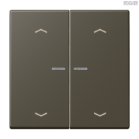 Jung BRG 12-5 PK 42 Abdeckung mit Kipphebel "Kegel" 1-fach 2 Kipphebel