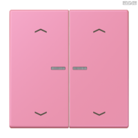 Jung BRG 12-5 PK 42 Abdeckung mit Kipphebel "Kegel" 1-fach 2 Kipphebel