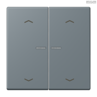 Jung BRG 12-5 PK 42 Abdeckung mit Kipphebel "Kegel" 1-fach 2 Kipphebel
