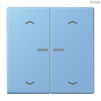 Jung BRG 12-5 PK 42 Abdeckung mit Kipphebel "Kegel" 1-fach 2 Kipphebel