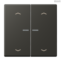 Jung BRG 12-5 PK 42 Abdeckung mit Kipphebel "Kegel" 1-fach 2 Kipphebel
