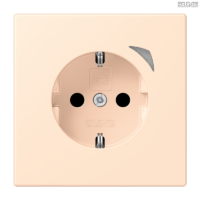 Jung BRG 12-5 PK 42 Abdeckung mit Kipphebel "Kegel" 1-fach 2 Kipphebel