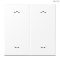 Jung BRG 12-5 PK 42 Abdeckung mit Kipphebel "Kegel" 1-fach 2 Kipphebel