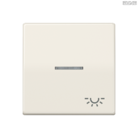 Jung BRG 12-5 PK 42 Abdeckung mit Kipphebel "Kegel" 1-fach 2 Kipphebel