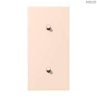 Jung BRG 12-5 PK 42 Abdeckung mit Kipphebel "Kegel" 1-fach 2 Kipphebel