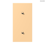 Jung BRG 12-5 PK 42 Abdeckung mit Kipphebel "Kegel" 1-fach 2 Kipphebel