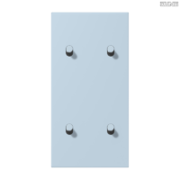 Jung BRG 12-5 PK 42 Abdeckung mit Kipphebel "Kegel" 1-fach 2 Kipphebel