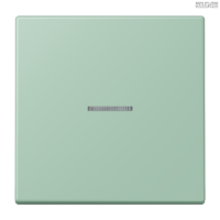Jung BRG 12-5 PK 42 Abdeckung mit Kipphebel "Kegel" 1-fach 2 Kipphebel