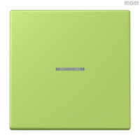 Jung BRG 12-5 PK 42 Abdeckung mit Kipphebel "Kegel" 1-fach 2 Kipphebel