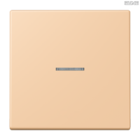 Jung BRG 12-5 PK 42 Abdeckung mit Kipphebel "Kegel" 1-fach 2 Kipphebel