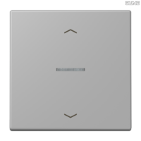 Jung BRG 12-5 PK 42 Abdeckung mit Kipphebel "Kegel" 1-fach 2 Kipphebel