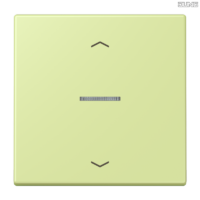 Jung BRG 12-5 PK 42 Abdeckung mit Kipphebel "Kegel" 1-fach 2 Kipphebel