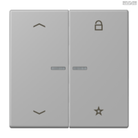 Jung BRG 12-5 PK 42 Abdeckung mit Kipphebel "Kegel" 1-fach 2 Kipphebel