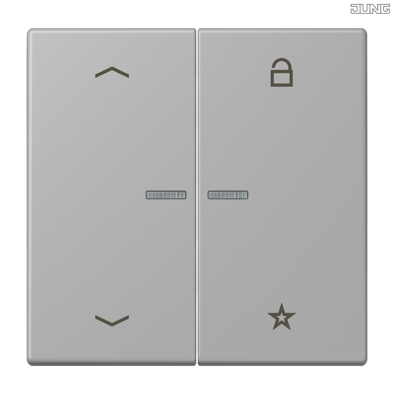 Jung BRG 12-5 PK 42 Abdeckung mit Kipphebel "Kegel" 1-fach 2 Kipphebel