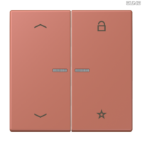 Jung BRG 12-5 PK 42 Abdeckung mit Kipphebel "Kegel" 1-fach 2 Kipphebel