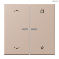 Jung BRG 12-5 PK 42 Abdeckung mit Kipphebel "Kegel" 1-fach 2 Kipphebel
