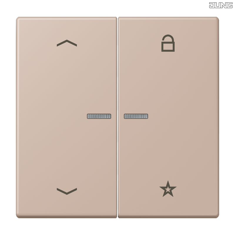 Jung BRG 12-5 PK 42 Abdeckung mit Kipphebel "Kegel" 1-fach 2 Kipphebel