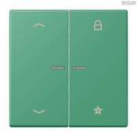 Jung BRG 12-5 PK 42 Abdeckung mit Kipphebel "Kegel" 1-fach 2 Kipphebel
