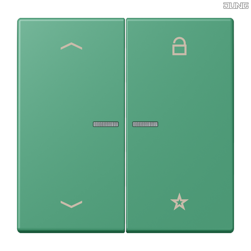 Jung BRG 12-5 PK 42 Abdeckung mit Kipphebel "Kegel" 1-fach 2 Kipphebel