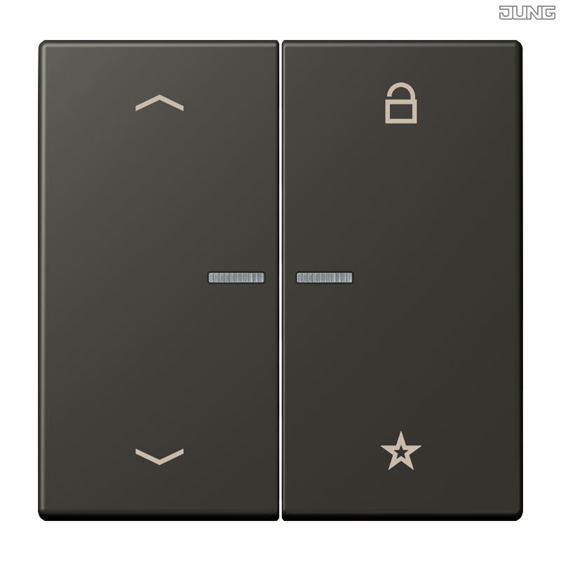 Jung BRG 12-5 PK 42 Abdeckung mit Kipphebel "Kegel" 1-fach 2 Kipphebel